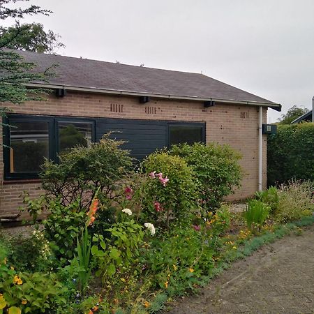 Gemuetliches Ferienhaus An Der Kueste Nordholland Sint Maartenszee Boerenslag 5 Sint Maartensvlotbrug Exteriör bild